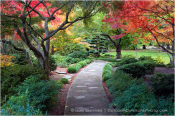 Japanese Garden Fall 2 Stock Image, Lithia Park, Ashland, Oregon Japanese Garden Fall 2 Stock Image, Lithia Park, Ashland, Oregon