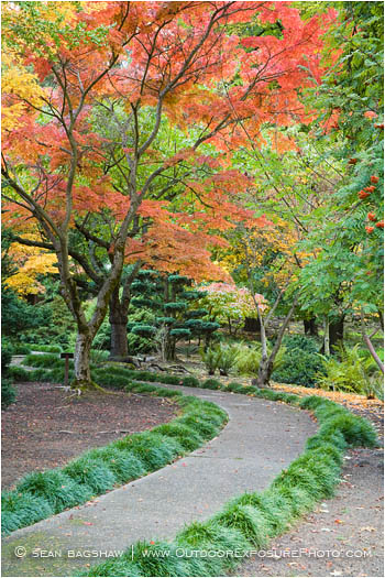 Japanese Garden Fall 4 Stock Image, Lithia Park, Ashland, Oregon Japanese Garden Fall 4 Stock Image, Lithia Park, Ashland, Oregon