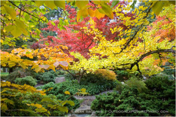 Japanese Garden Fall 6 Stock Image, Lithia Park, Ashland, Oregon Japanese Garden Fall 6 Stock Image, Lithia Park, Ashland, Oregon