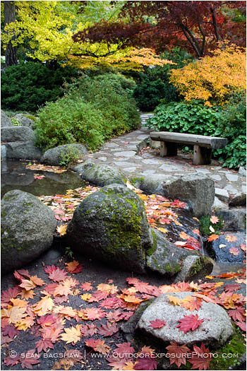 Japanese Garden Fall 7 Stock Image, Lithia Park, Ashland, Oregon Japanese Garden Fall 7 Stock Image, Lithia Park, Ashland, Oregon