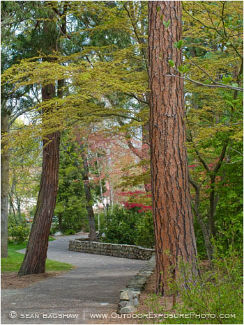 Lithia Park Path Stock Image Ashland, Oregon Lithia Park Path Stock Image Ashland, Oregon