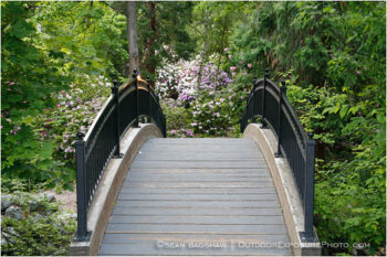 Lithia Park Bridge Stock Image, Ashland, Oregon Lithia Park Bridge Stock Image, Ashland, Oregon