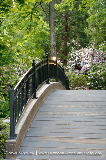 Lithia Park Bridge 2 Stock Image, Ashland, Oregon Lithia Park Bridge 2 Stock Image, Ashland, Oregon