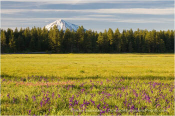 Mt. McLoughlin across Howard Prairie Stock Image, Southern Oregon Mt. McLoughlin across Howard Prairie Stock Image, Southern Oregon