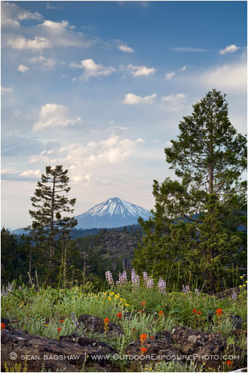 Mt. McLoughlin with Wildflowers Stock Image Ashland, Oregon Mt. McLoughlin with Wildflowers Stock Image Ashland, Oregon