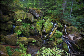 Watson Creek Stock Image North Umpqua River, Oregon Watson Creek Stock Image North Umpqua River, Oregon