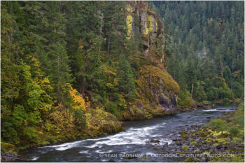 North Umpqua River Stock Image Douglas County, Oregon North Umpqua River Stock Image Douglas County, Oregon