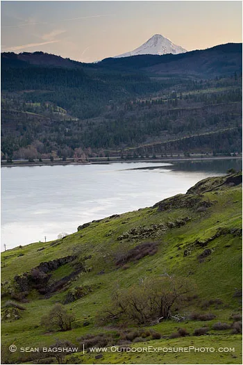 Mt. Hood overlooking Columbia River Stock Image Oregon Mt. Hood overlooking Columbia River Stock Image Oregon