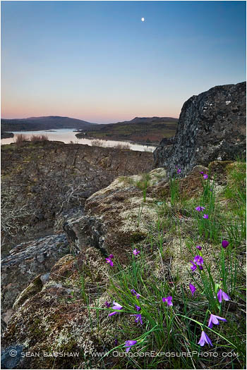 Columbia River 4 Stock Image Oregon Columbia River 4 Stock Image Oregon