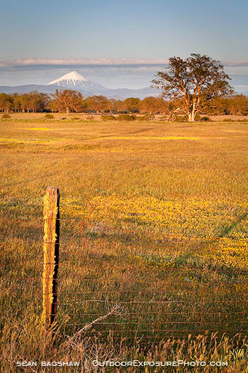 Mt. McLoughlin 8 Stock Image Medford, Oregon Mt. McLoughlin 8 Stock Image Medford, Oregon