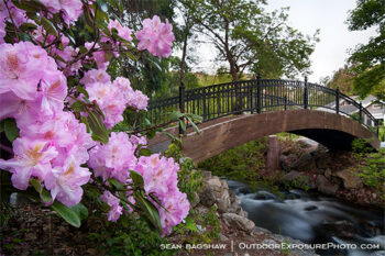 Rhododendron Bridge Stock Image, Ashland, Oregon Rhododendron Bridge Stock Image, Ashland, Oregon