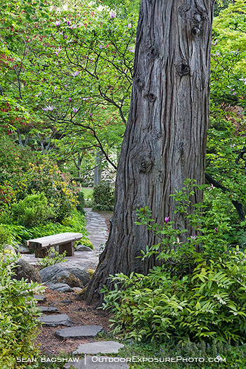 Japanese Garden in Spring 4 Stock Image, Ashland, Oregon Japanese Garden in Spring 4 Stock Image, Ashland, Oregon