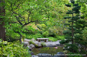 Japanese Garden in Spring 5 Stock Image, Ashland, Oregon Japanese Garden in Spring 5 Stock Image, Ashland, Oregon
