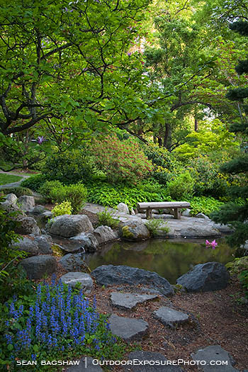 Japanese Garden in Spring 6 Stock Image, Ashland, Oregon Japanese Garden in Spring 6 Stock Image, Ashland, Oregon