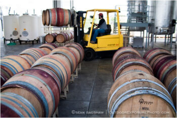 Wine Barrels 2 Stock Image, Medford, Oregon Wine Barrels 2 Stock Image, Medford, Oregon
