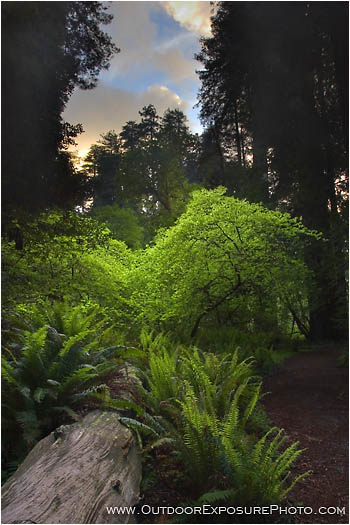 Illuminated Stock Image Illuminated Stock Image