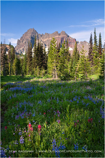 Three Fingered Jack 5 Stock Image Mt. Jefferson Wilderness, Oregon Three Fingered Jack 5 Stock Image Mt. Jefferson Wilderness, Oregon