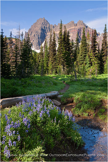 Three Fingered Jack 6 Stock Image Mt. Jefferson Wilderness, Oregon Three Fingered Jack 6 Stock Image Mt. Jefferson Wilderness, Oregon