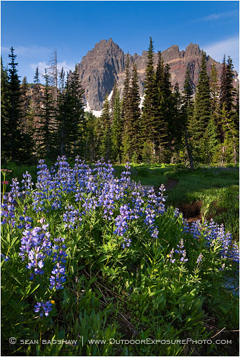 Three Fingered Jack 7 Stock Image Mt. Jefferson Wilderness, Oregon Three Fingered Jack 7 Stock Image Mt. Jefferson Wilderness, Oregon