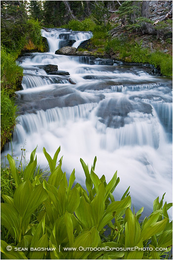 Kings Creek Falls 6 Stock Image Lassen Volcanic National Park, California Kings Creek Falls 6 Stock Image Lassen Volcanic National Park, California