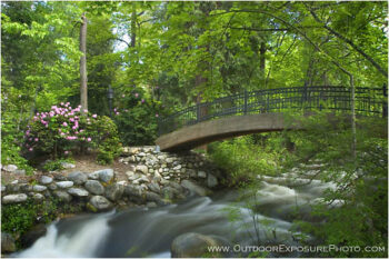 Ashland Creek In Spring II Stock Image, Lithia Park, Ashland, Oregon Ashland Creek In Spring II Stock Image, Lithia Park, Ashland, Oregon