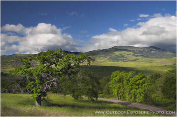 Old Oak And Grizzly Peak Stock Image, Southern Oregon Old Oak And Grizzly Peak Stock Image, Southern Oregon