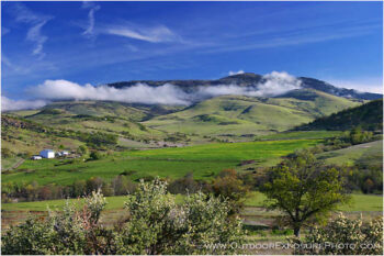 Grizzly Peak Spring Stock Image, Southern Oregon Grizzly Peak Spring Stock Image, Southern Oregon
