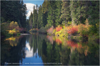 River Corridor Stock Image, the Rogue River, Oregon River Corridor Stock Image, the Rogue River, Oregon