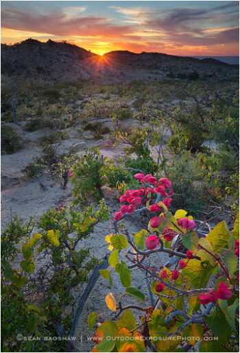 Trinchera Sunset Stock Image, Baja, Mexico Trinchera Sunset Stock Image, Baja, Mexico