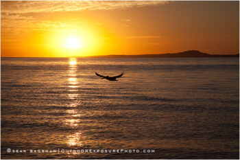 Sea Of Cortez Sunrise 5 Stock Image, Baja, Mexico Sea Of Cortez Sunrise 5 Stock Image, Baja, Mexico