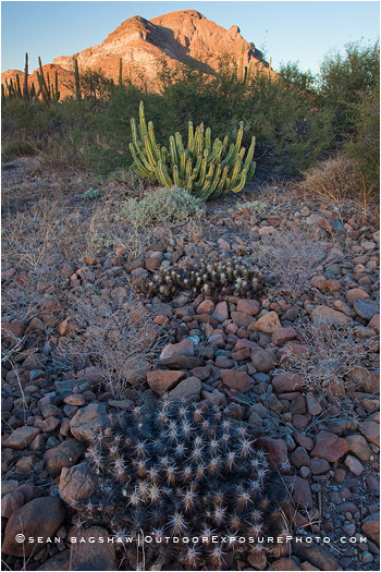 Baja Desert 2 Stock Image, Baja, Mexico Baja Desert 2 Stock Image, Baja, Mexico