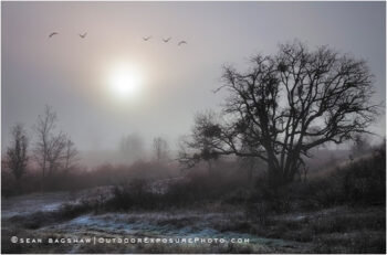 Emigrant Dawn Stock Image, Ashland, Oregon Emigrant Dawn Stock Image, Ashland, Oregon