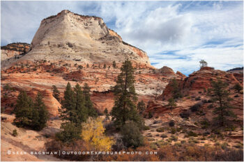 Zion Red Rock Stock Image, Zion National Park Zion Red Rock Stock Image, Zion National Park
