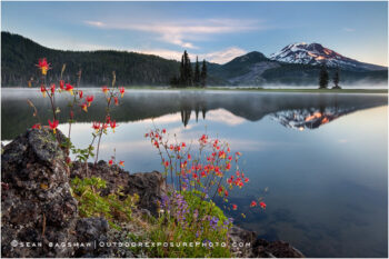 Columbine and South Sister Stock Image, Bend, Oregon Columbine and South Sister Stock Image, Bend, Oregon