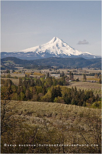 Hood River Valley Farmland 1 Stock Image, Oregon Hood River Valley Farmland 1 Stock Image, Oregon