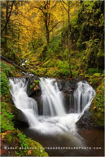 Gorton Falls Stock Image, Columbia Gorge, Oregon Gorton Falls Stock Image, Columbia Gorge, Oregon