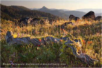 Cascade-Siskiyou National Monument 1 Stock Image, Oregon Cascade-Siskiyou National Monument 1 Stock Image, Oregon