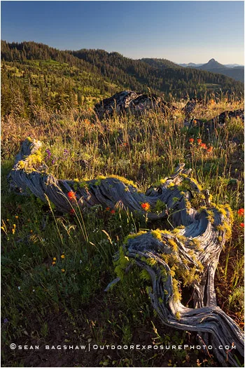 Cascade-Siskiyou National Monument 2 Stock Image, Oregon Cascade-Siskiyou National Monument 2 Stock Image, Oregon