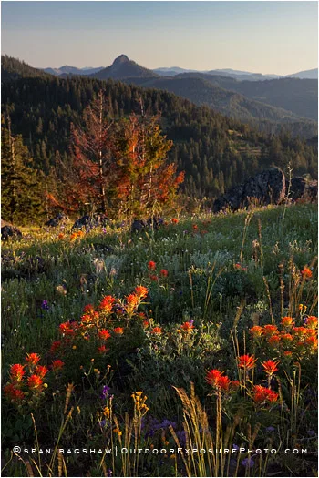 Cascade-Siskiyou National Monument 3 Stock Image, Oregon Cascade-Siskiyou National Monument 3 Stock Image, Oregon