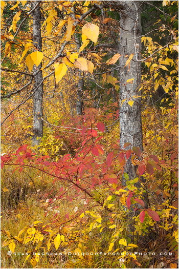 Wenatchee National Forest 1, Washington Wenatchee National Forest 1, Washington