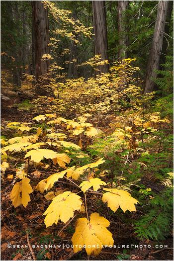 Wenatchee National Forest 2, Washington Wenatchee National Forest 2, Washington