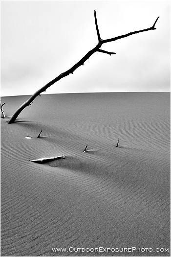 Buried Stock Image Buried Stock Image