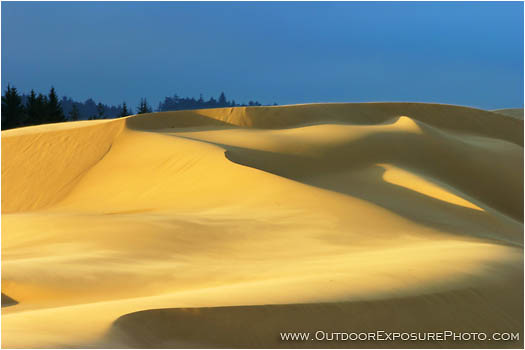 Oregon Dunes 6 Stock Image, Oregon Coast Oregon Dunes 6 Stock Image, Oregon Coast