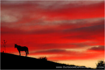 Palouse Sunset I Stock Image, Washington Palouse Sunset I Stock Image, Washington