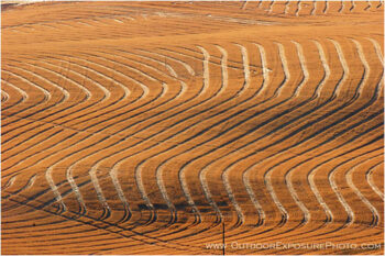 After The Harvest III Stock Image, Palouse Region, Washington After The Harvest III Stock Image, Palouse Region, Washington