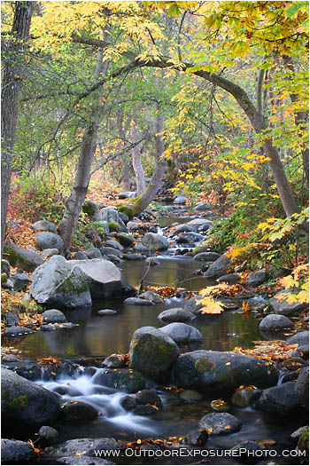 Ashland Creek In Fall Stock Image, Lithia Park, Ashland Ashland Creek In Fall Stock Image, Lithia Park, Ashland