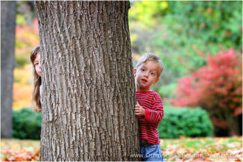 Found Stock Image, lithia park, ashland, oregon Found Stock Image, lithia park, ashland, oregon