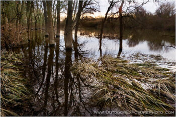 Cosumnes River Stock Image, Cosumnes River Wildlife Preserve, California Cosumnes River Stock Image, Cosumnes River Wildlife Preserve, California
