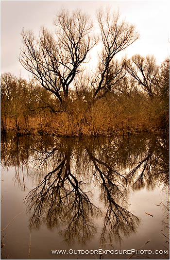 Cosumnes Marsh Stock Image, Cosumnes River Wildlife Preserve, California Cosumnes Marsh Stock Image, Cosumnes River Wildlife Preserve, California