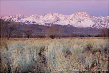 Early Morning Light in the Owens Valley Stock Image, Owens River Valley, California Early Morning Light in the Owens Valley Stock Image, Owens River Valley, California